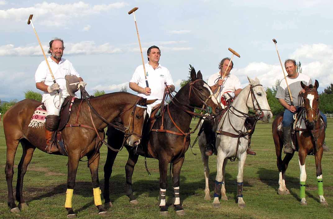 polo _ 4