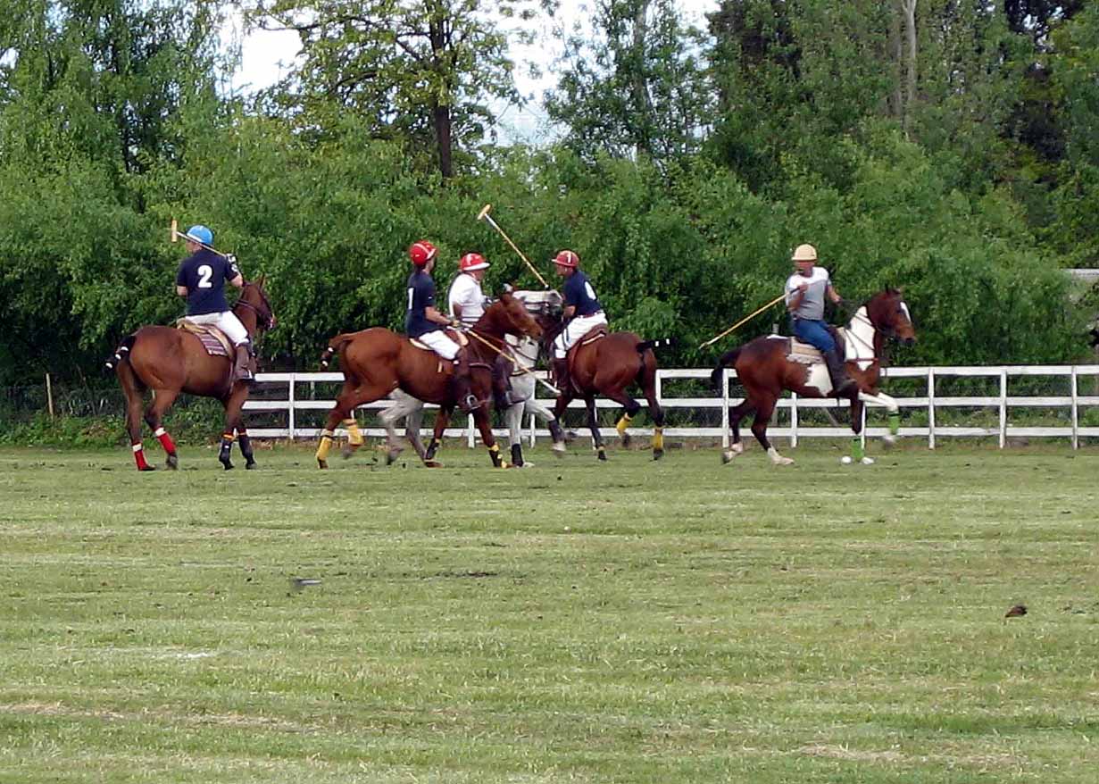 polo_2